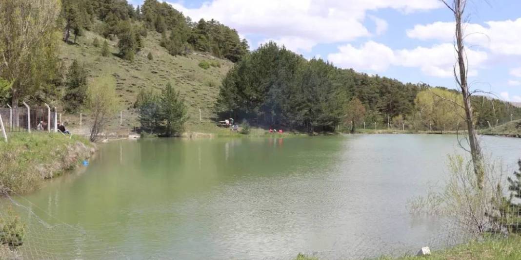 Hafta sonu rotanız şimdiden hazır! Kimse inanmıyor ama burası Yozgat’ta: Çam ormanlarının içinde saklı bir vaha 5